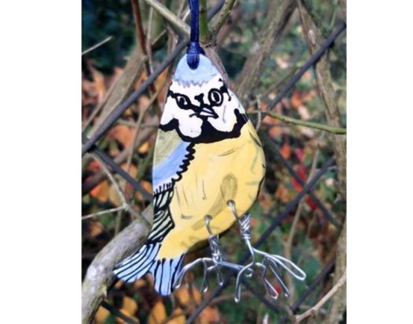 Blue Tit Hanging